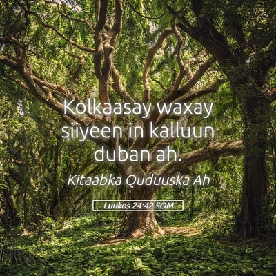 Picture 05 - Luukos 24:42 SOM - Kolkaasay waxay siiyeen in kalluun duban - Bible Verse Picture
