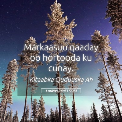 Picture 05 - Luukos 24:43 SOM - Markaasuu qaaday oo hortooda ku - Bible Verse Picture