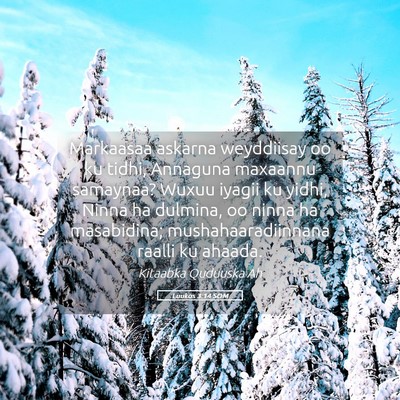 Picture 05 - Luukos 3:14 SOM - Markaasaa askarna weyddiisay oo ku tidhi, - Bible Verse Picture