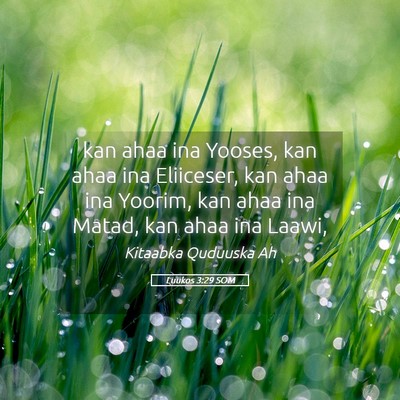 Picture 05 - Luukos 3:29 SOM - kan ahaa ina Yooses, kan ahaa ina Eliiceser, kan - Bible Verse Picture