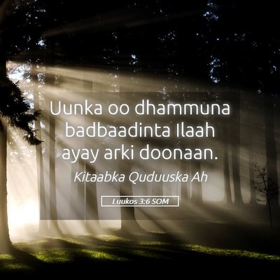 Picture 05 - Luukos 3:6 SOM - Uunka oo dhammuna badbaadinta Ilaah ayay arki - Bible Verse Picture