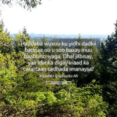 Picture 05 - Luukos 3:7 SOM - Haddaba wuxuu ku yidhi dadkii badnaa oo u soo - Bible Verse Picture