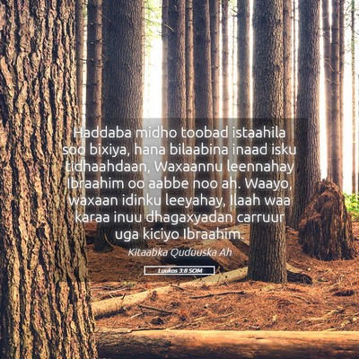 Picture 05 - Luukos 3:8 SOM - Haddaba midho toobad istaahila soo bixiya, hana - Bible Verse Picture