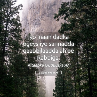 Picture 05 - Luukos 4:19 SOM - Iyo inaan dadka ogeysiiyo sannadda qaabbilaadda - Bible Verse Picture