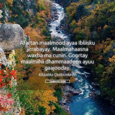 Picture 05 - Luukos 4:2 SOM - Afartan maalmood ayaa Ibliisku jirrabayay. - Bible Verse Picture