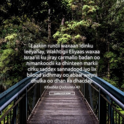 Picture 05 - Luukos 4:25 SOM - Laakiin runtii waxaan idinku leeyahay, Wakhtigii - Bible Verse Picture