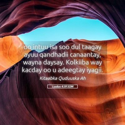 Picture 05 - Luukos 4:39 SOM - oo intuu isa soo dul taagay ayuu qandhadii - Bible Verse Picture