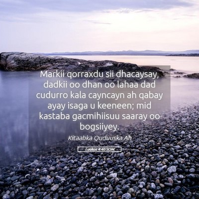 Picture 05 - Luukos 4:40 SOM - Markii qorraxdu sii dhacaysay, dadkii oo dhan oo - Bible Verse Picture