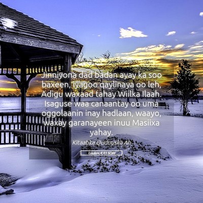 Picture 05 - Luukos 4:41 SOM - Jinniyona dad badan ayay ka soo baxeen, iyagoo - Bible Verse Picture