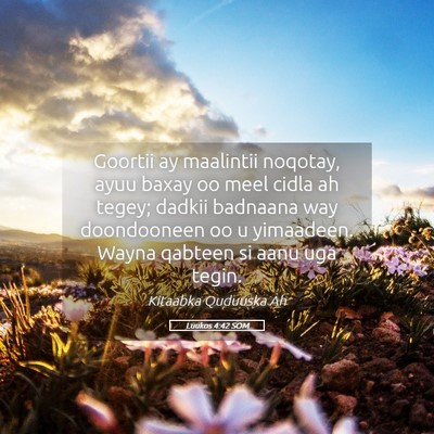 Picture 05 - Luukos 4:42 SOM - Goortii ay maalintii noqotay, ayuu baxay oo meel - Bible Verse Picture