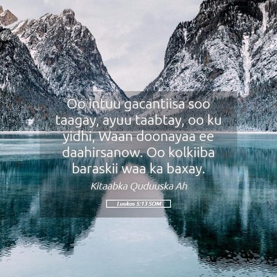 Picture 05 - Luukos 5:13 SOM - Oo intuu gacantiisa soo taagay, ayuu taabtay, oo - Bible Verse Picture