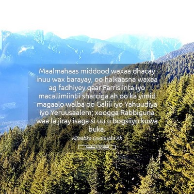 Picture 05 - Luukos 5:17 SOM - Maalmahaas middood waxaa dhacay inuu wax barayay, - Bible Verse Picture