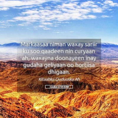 Picture 05 - Luukos 5:18 SOM - Markaasaa niman waxay sariir ku soo qaadeen nin - Bible Verse Picture