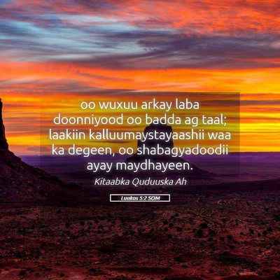 Picture 05 - Luukos 5:2 SOM - oo wuxuu arkay laba doonniyood oo badda ag taal; - Bible Verse Picture