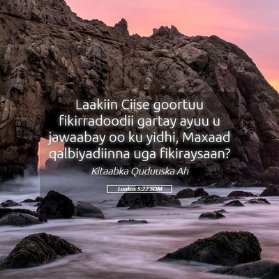 Picture 05 - Luukos 5:22 SOM - Laakiin Ciise goortuu fikirradoodii gartay ayuu u - Bible Verse Picture