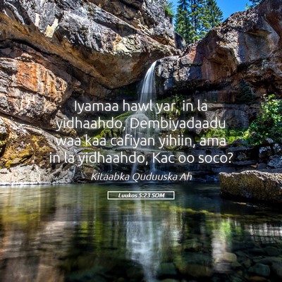 Picture 05 - Luukos 5:23 SOM - Iyamaa hawl yar, in la yidhaahdo, Dembiyadaadu - Bible Verse Picture
