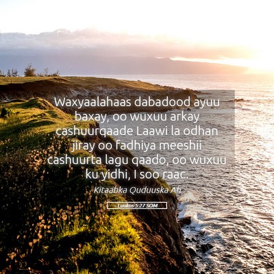 Picture 05 - Luukos 5:27 SOM - Waxyaalahaas dabadood ayuu baxay, oo wuxuu arkay - Bible Verse Picture