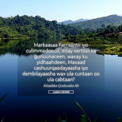 Picture 05 - Luukos 5:30 SOM - Markaasaa Farrisiintii iyo culimmadoodii, intay - Bible Verse Picture