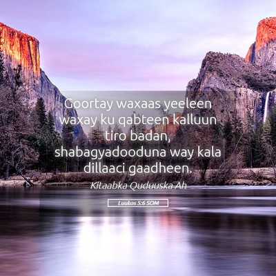 Picture 05 - Luukos 5:6 SOM - Goortay waxaas yeeleen waxay ku qabteen kalluun - Bible Verse Picture