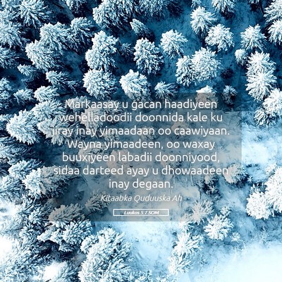 Picture 05 - Luukos 5:7 SOM - Markaasay u gacan haadiyeen wehelladoodii - Bible Verse Picture