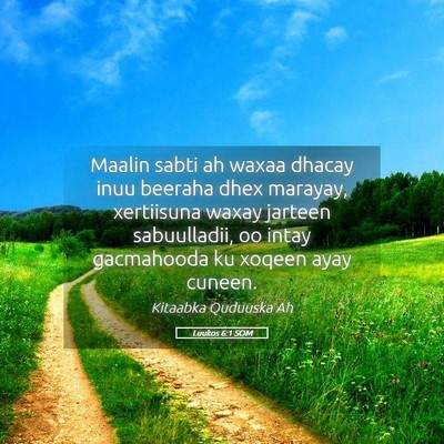 Picture 05 - Luukos 6:1 SOM - Maalin sabti ah waxaa dhacay inuu beeraha dhex - Bible Verse Picture