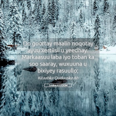 Picture 05 - Luukos 6:13 SOM - Oo goortay maalin noqotay ayuu xertiisii u - Bible Verse Picture