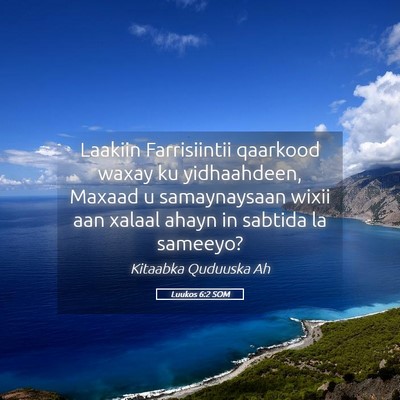 Picture 05 - Luukos 6:2 SOM - Laakiin Farrisiintii qaarkood waxay ku - Bible Verse Picture