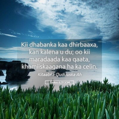 Picture 05 - Luukos 6:29 SOM - Kii dhabanka kaa dhirbaaxa, kan kalena u du; oo - Bible Verse Picture