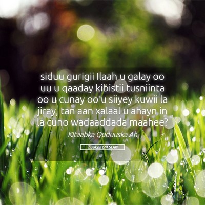 Picture 05 - Luukos 6:4 SOM - siduu gurigii Ilaah u galay oo uu u qaaday - Bible Verse Picture
