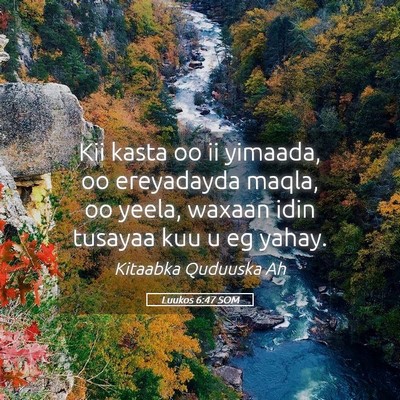Picture 05 - Luukos 6:47 SOM - Kii kasta oo ii yimaada, oo ereyadayda maqla, oo - Bible Verse Picture