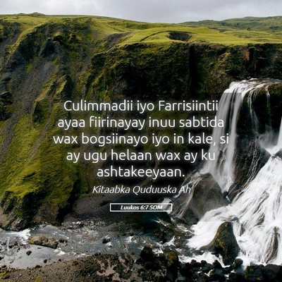 Picture 05 - Luukos 6:7 SOM - Culimmadii iyo Farrisiintii ayaa fiirinayay inuu - Bible Verse Picture