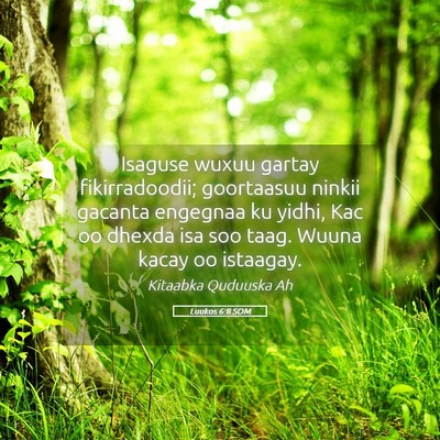 Picture 05 - Luukos 6:8 SOM - Isaguse wuxuu gartay fikirradoodii; goortaasuu - Bible Verse Picture