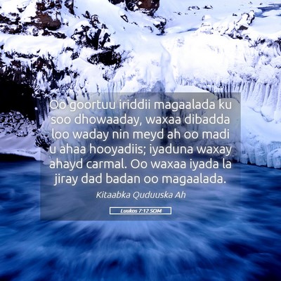 Picture 05 - Luukos 7:12 SOM - Oo goortuu iriddii magaalada ku soo dhowaaday, - Bible Verse Picture