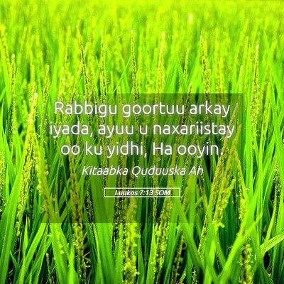 Picture 05 - Luukos 7:13 SOM - Rabbigu goortuu arkay iyada, ayuu u naxariistay - Bible Verse Picture