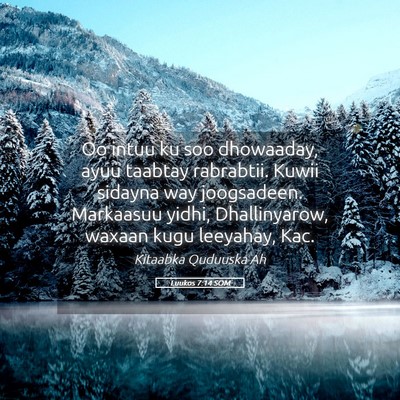 Picture 05 - Luukos 7:14 SOM - Oo intuu ku soo dhowaaday, ayuu taabtay - Bible Verse Picture