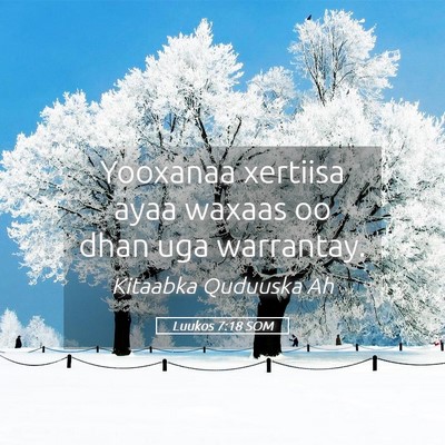 Picture 05 - Luukos 7:18 SOM - Yooxanaa xertiisa ayaa waxaas oo dhan uga - Bible Verse Picture