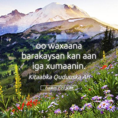 Picture 05 - Luukos 7:23 SOM - oo waxaana barakaysan kan aan iga - Bible Verse Picture