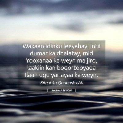 Picture 05 - Luukos 7:28 SOM - Waxaan idinku leeyahay, Intii dumar ka dhalatay, - Bible Verse Picture