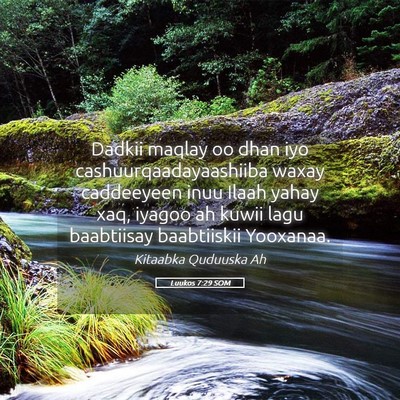 Picture 05 - Luukos 7:29 SOM - Dadkii maqlay oo dhan iyo cashuurqaadayaashiiba - Bible Verse Picture