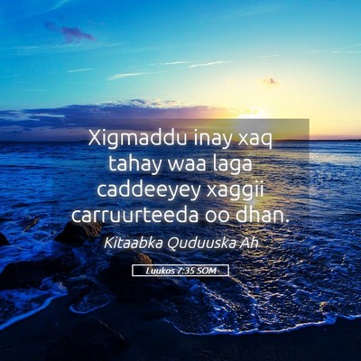 Picture 05 - Luukos 7:35 SOM - Xigmaddu inay xaq tahay waa laga caddeeyey xaggii - Bible Verse Picture