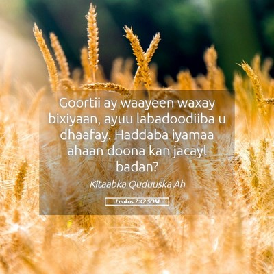 Picture 05 - Luukos 7:42 SOM - Goortii ay waayeen waxay bixiyaan, ayuu - Bible Verse Picture