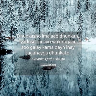 Picture 05 - Luukos 7:45 SOM - Dhunkasho ima aad dhunkan, iyaduse tan iyo - Bible Verse Picture