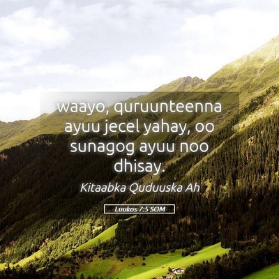 Picture 05 - Luukos 7:5 SOM - waayo, quruunteenna ayuu jecel yahay, oo sunagog - Bible Verse Picture