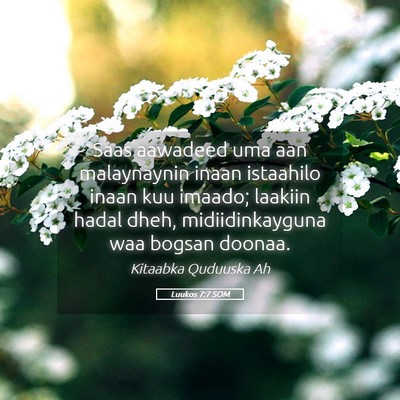 Picture 05 - Luukos 7:7 SOM - Saas aawadeed uma aan malaynaynin inaan istaahilo - Bible Verse Picture