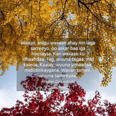 Picture 05 - Luukos 7:8 SOM - Waayo, anigu waxaan ahay nin laga sarreeyo, oo - Bible Verse Picture