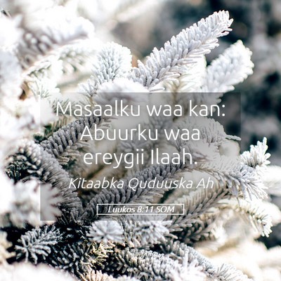 Picture 05 - Luukos 8:11 SOM - Masaalku waa kan: Abuurku waa ereygii - Bible Verse Picture