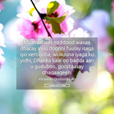 Picture 05 - Luukos 8:22 SOM - Maalmahaas middood waxaa dhacay inuu doonni - Bible Verse Picture