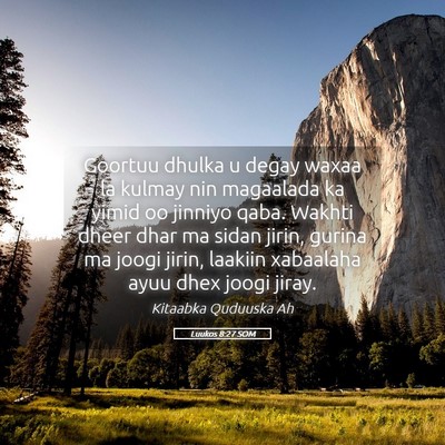 Picture 05 - Luukos 8:27 SOM - Goortuu dhulka u degay waxaa la kulmay nin - Bible Verse Picture