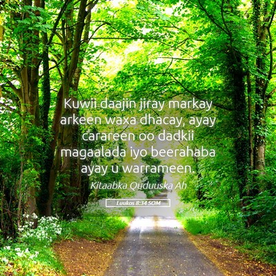 Picture 05 - Luukos 8:34 SOM - Kuwii daajin jiray markay arkeen waxa dhacay, - Bible Verse Picture