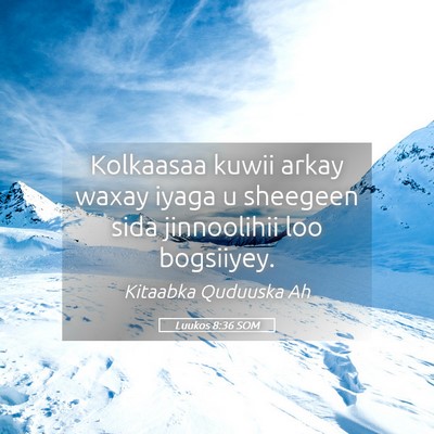 Picture 05 - Luukos 8:36 SOM - Kolkaasaa kuwii arkay waxay iyaga u sheegeen sida - Bible Verse Picture